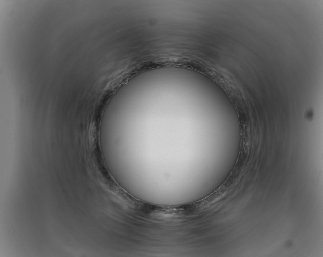 X0000091550563200708171043