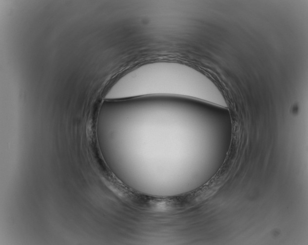 X0000091550564200708171043