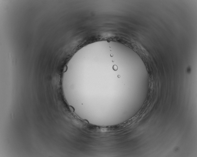 X0000091550565200708171043
