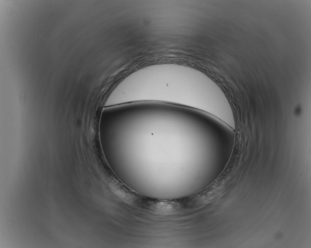 X0000091550566200708171043