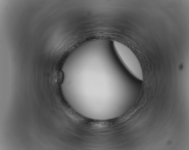 X0000091550567200708171043