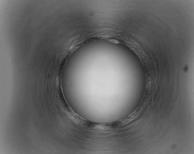 X0000091550568200708171043