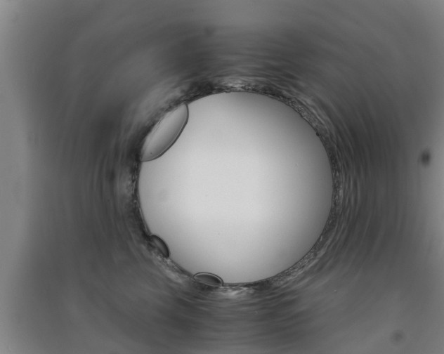 X0000091550569200708171043