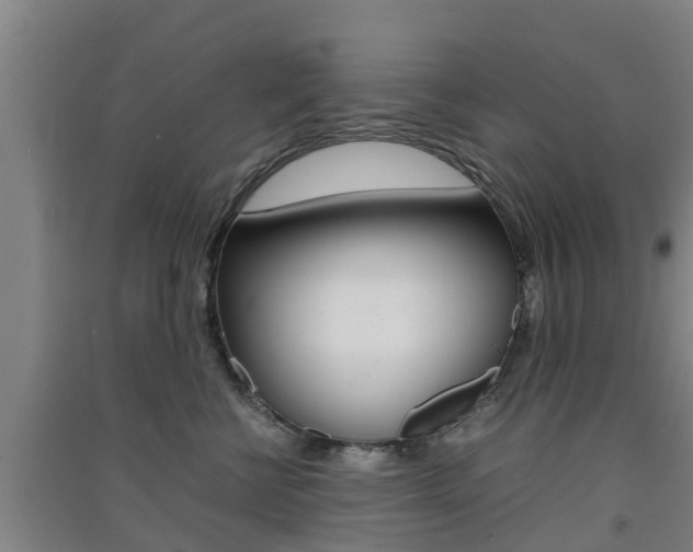 X0000091550570200708171043