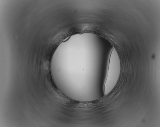 X0000091550571200708171043