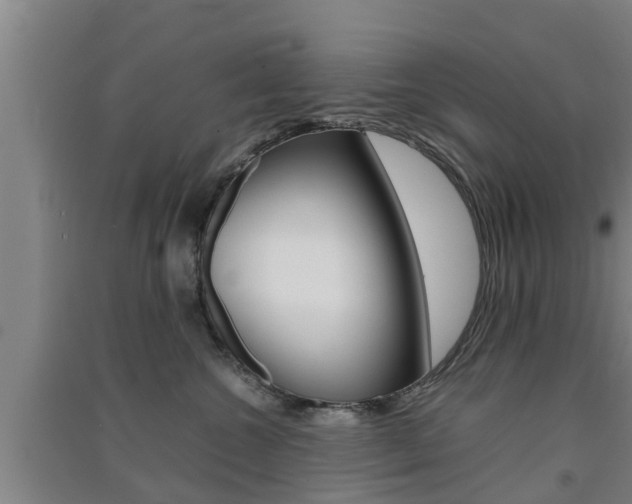 X0000091550572200708171043