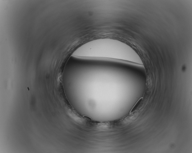 X0000091550574200708171043