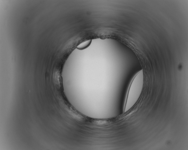 X0000091550575200708171043