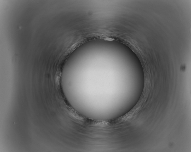 X0000091550576200708171043