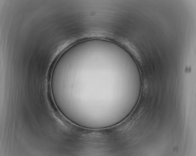 X0000091550578200708171042