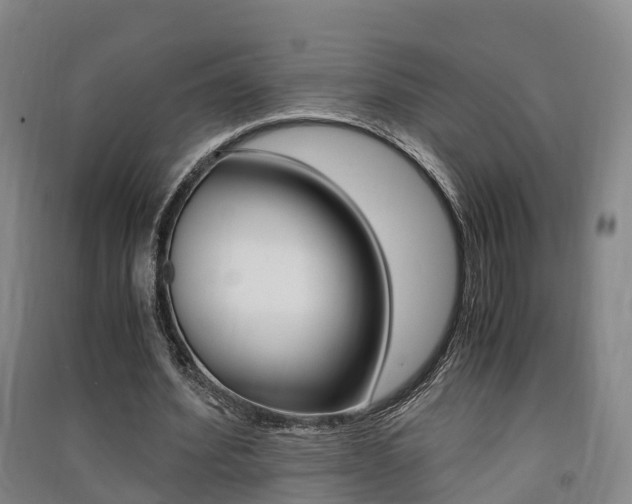 X0000091550580200708171042