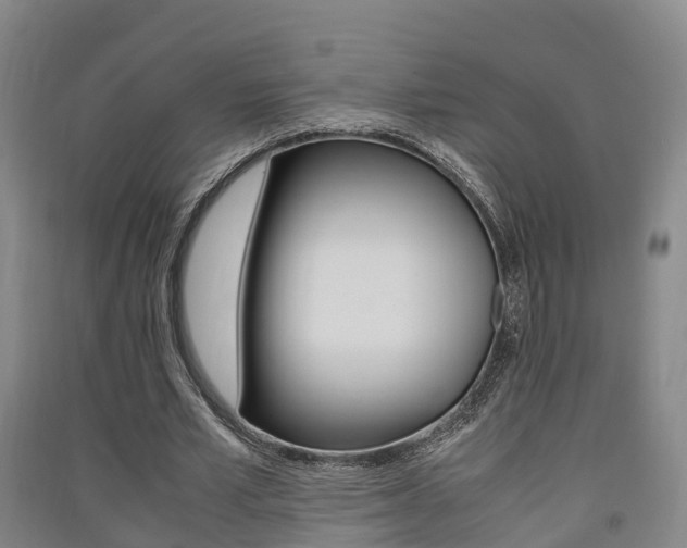 X0000091550581200708171042