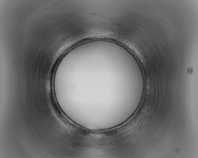 X0000091550582200708171042