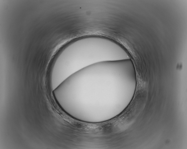 X0000091550583200708171042