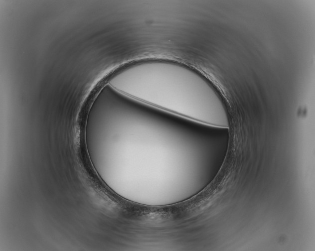 X0000091550584200708171042