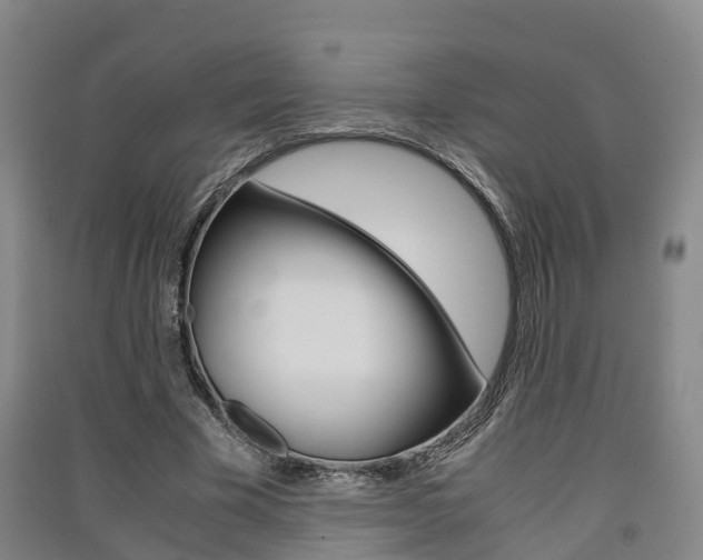 X0000091550585200708171042