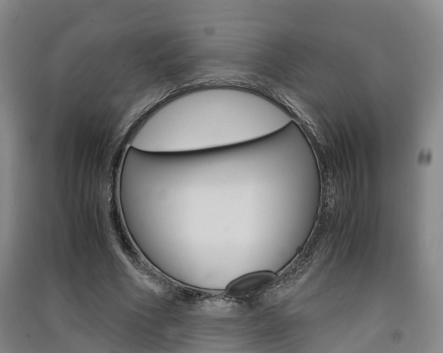 X0000091550586200708171042