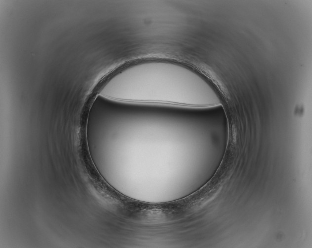 X0000091550588200708171042