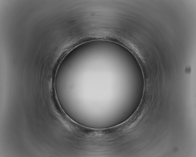 X0000091550589200708171042