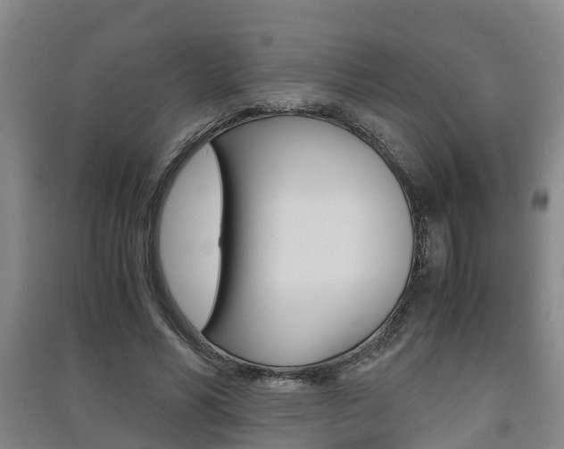 X0000091550590200708171042