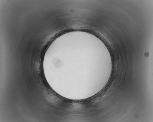 X0000091550592200708171042