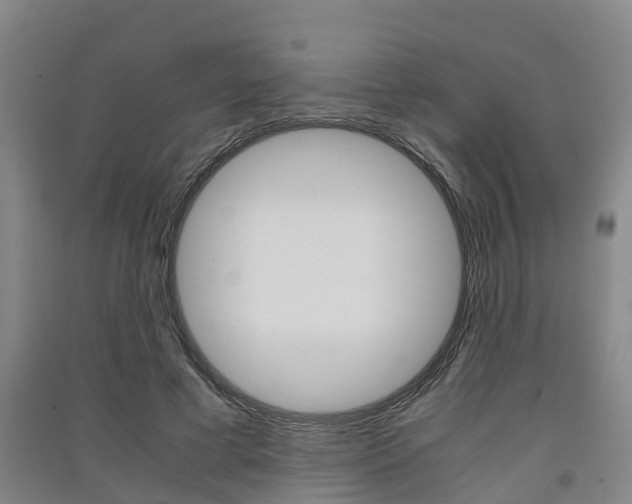 X0000091550593200708171042