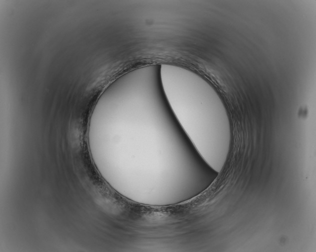 X0000091550594200708171042