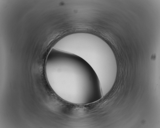 X0000091550595200708171042