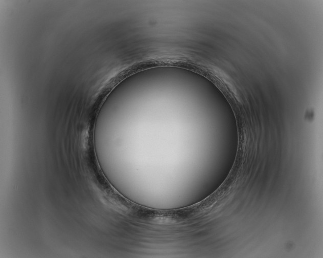 X0000091550596200708171042