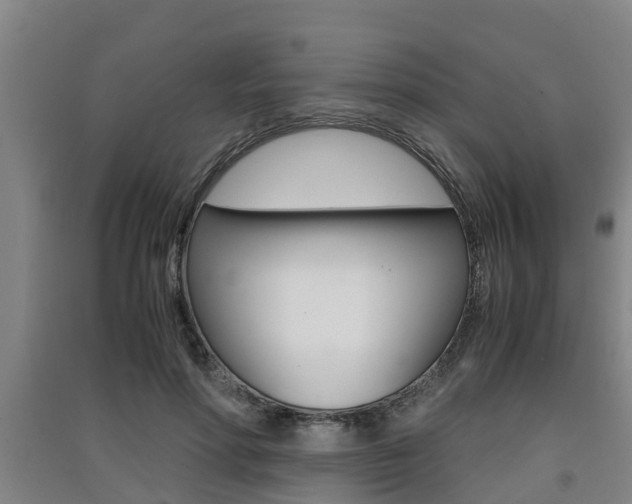 X0000091550598200708171042