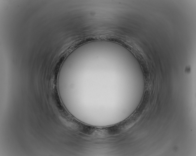 X0000091550599200708171042