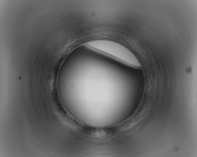 X0000091550600200708171042