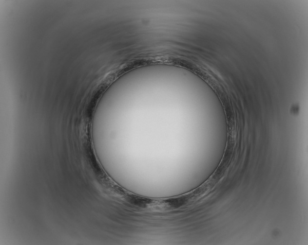 X0000091550603200708171042