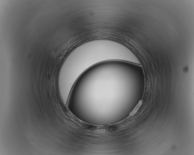 X0000091550604200708171042