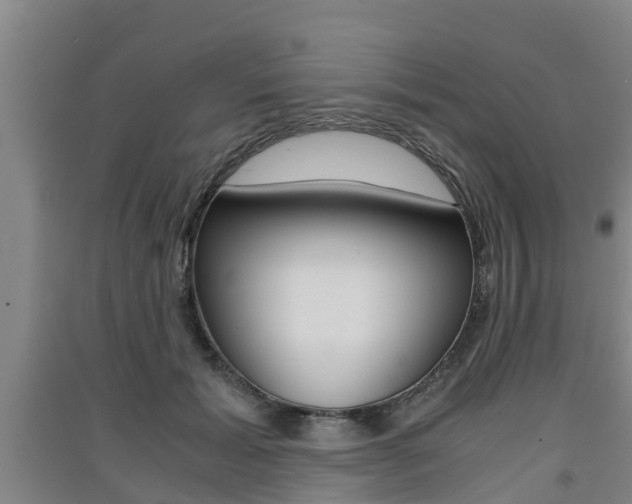 X0000091550605200708171042