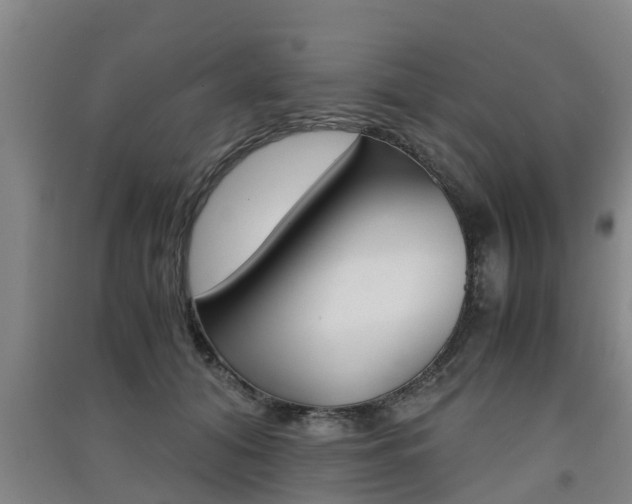 X0000091550608200708171042