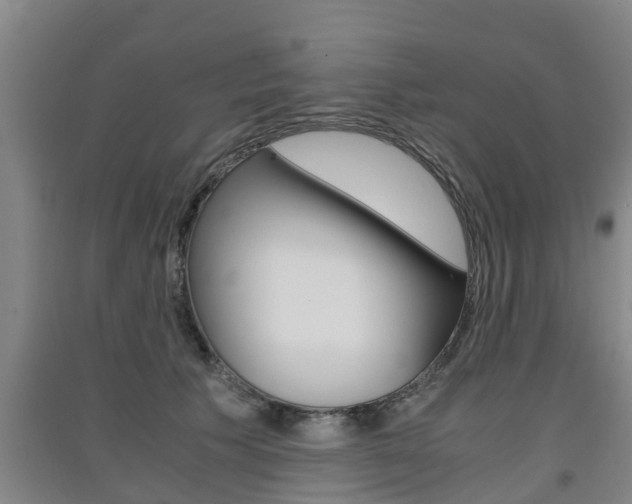 X0000091550609200708171042