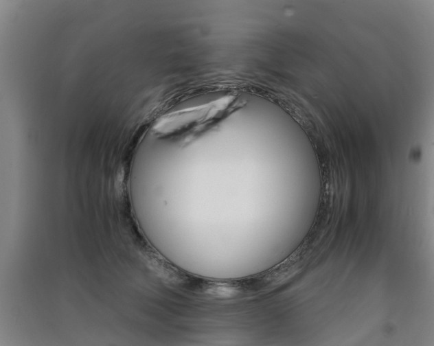 X0000091550610200708171042