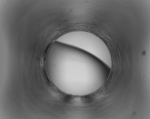 X0000091550611200708171042