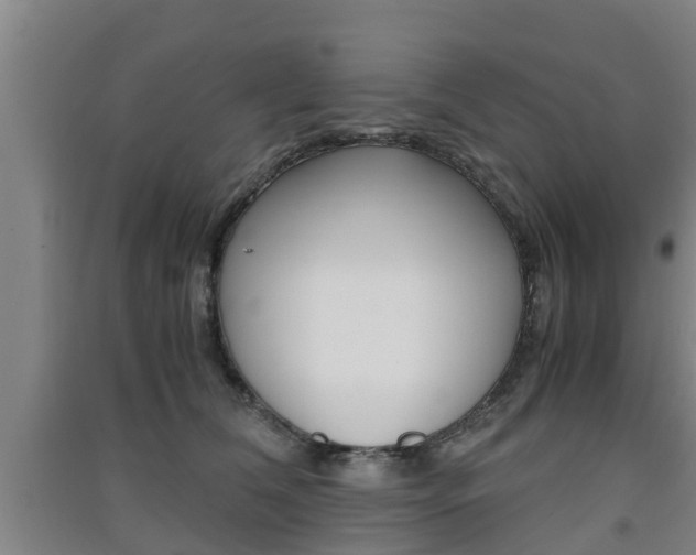 X0000091550612200708171042
