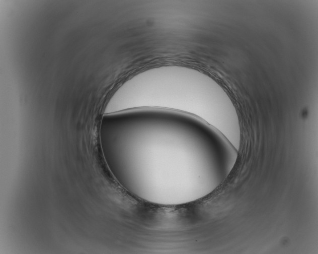 X0000091550613200708171042