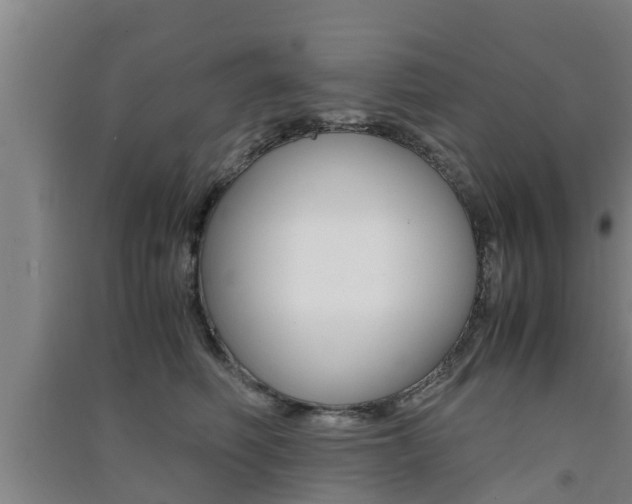 X0000091550614200708171042