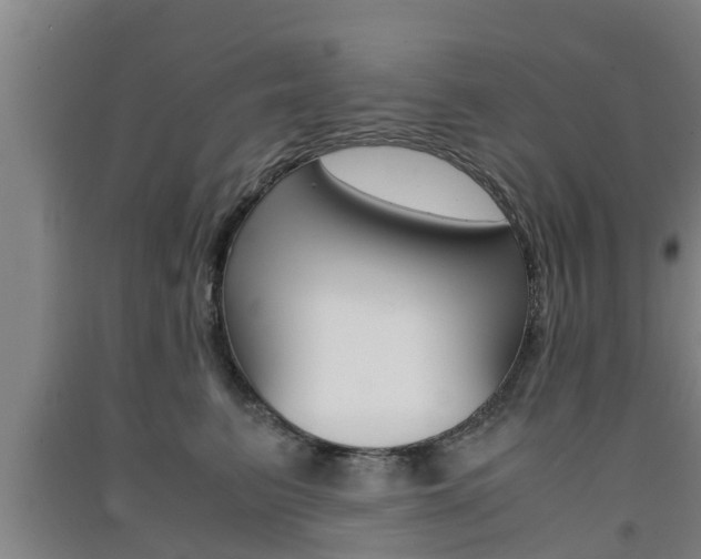 X0000091550615200708171042
