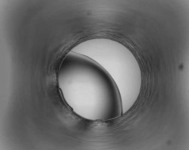 X0000091550617200708171042