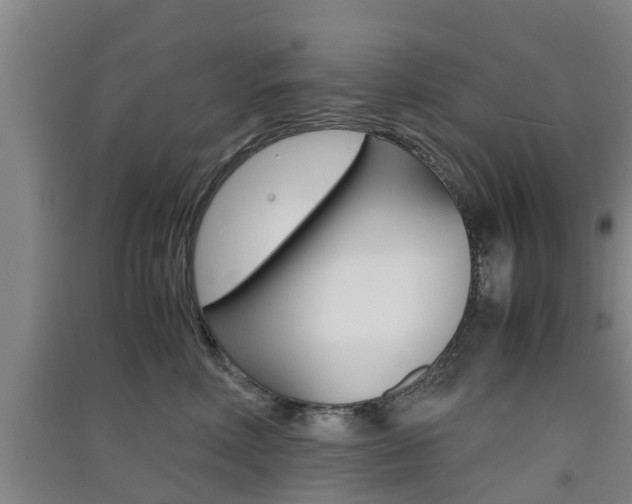 X0000091550618200708171042