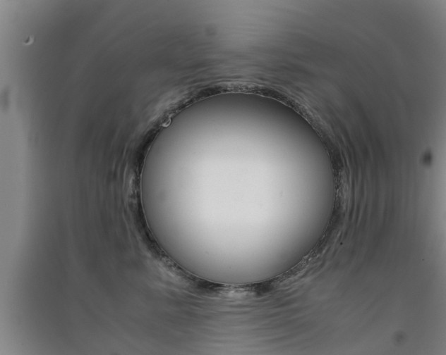 X0000091550619200708171042