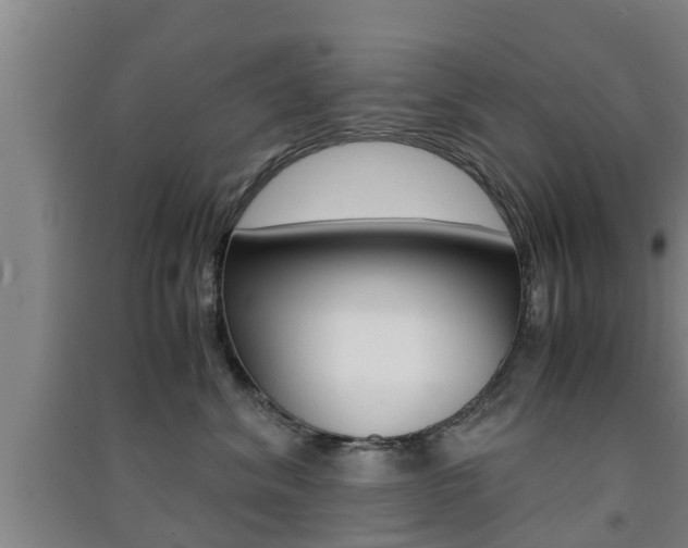 X0000091550620200708171042