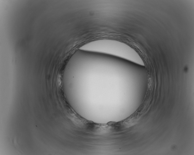 X0000091550621200708171042