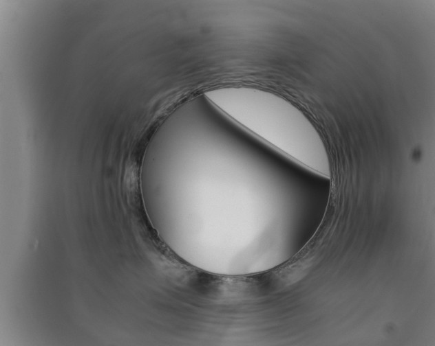X0000091550623200708171042