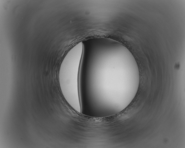 X0000091550624200708171042